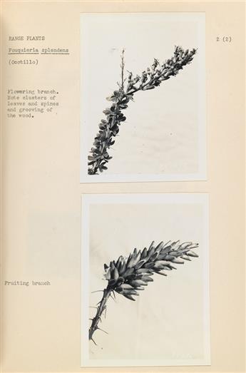 (U.S. DEPARTMENT OF AGRICULTURE--SOIL CONSERVATION) Album with approximately 112 photographs documenting the various species of range